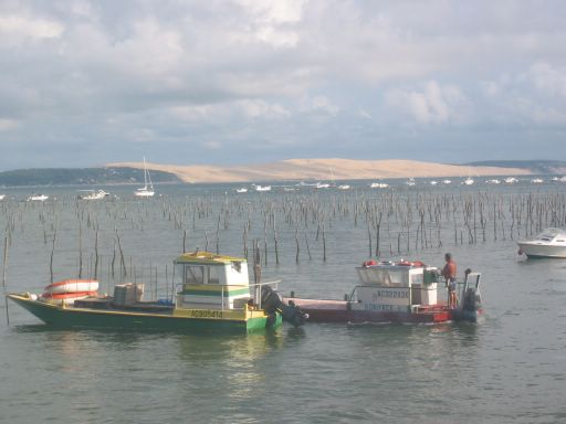 Bassin et Dune P.